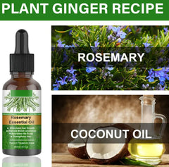 Rosemary Anti-loss Hair Growth