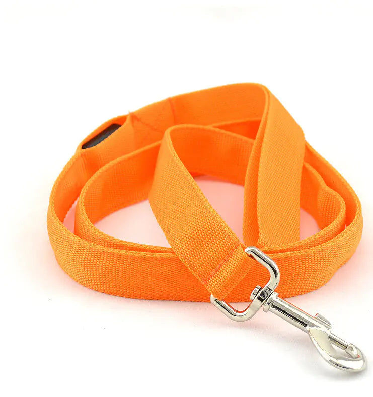 LED Glowing Dog Leash for Nighttime Walks