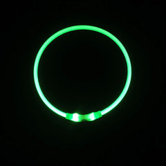 USB Rechargeable Luminous Dog Collar